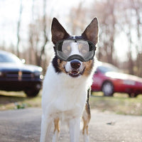 HKM-2388925 Large Dog Safety Goggles for Eye Protection against Wind, Rain, and Snow - Black and White Frames