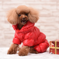 HKM-2391485 Warm Cotton Dog Clothing for Pets - Available in Red, Blue, Black, Earth Gold, and Silver