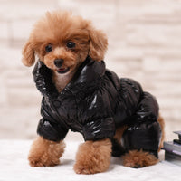HKM-2391485 Warm Cotton Dog Clothing for Pets - Available in Red, Blue, Black, Earth Gold, and Silver
