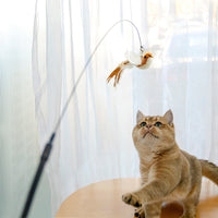 HKM-2392125 Feather Cat Toy Replacement Head with Long Brush and Sucker for Interactive Play