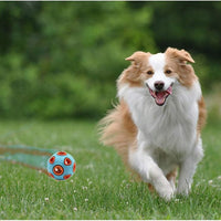 HKM-2394557 Interactive Dog Ball Toy with Ring Bell and Squeak for Pet Exercise and IQ Development