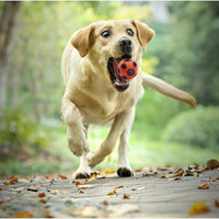 HKM-2394557 Interactive Dog Ball Toy with Ring Bell and Squeak for Pet Exercise and IQ Development