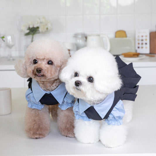 HKM-2394685 Cozy Dark Gray Teddy Dog Outfit for All Sizes