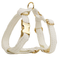 HKM-2395069 Elegant White Lace Pet Vest Set with Collar and Leash