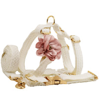HKM-2395069 Elegant White Lace Pet Vest Set with Collar and Leash
