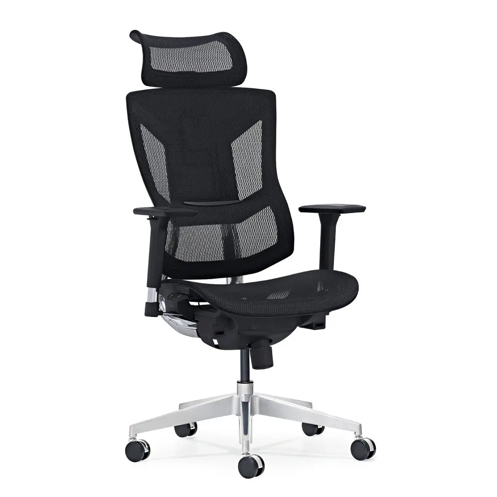 HKM-239827 Ergonomic Mesh Office Chair with Foot Rest - SHUNMAS SM009DS-A-L Model