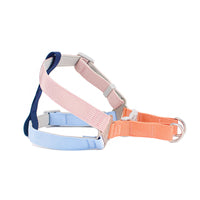 HKM-2410045 Colorful Outdoor Dog Leash with Chest Harness and Rope for Pets