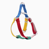 HKM-2410045 Colorful Outdoor Dog Leash with Chest Harness and Rope for Pets