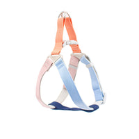 HKM-2410045 Colorful Outdoor Dog Leash with Chest Harness and Rope for Pets