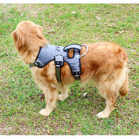 HKM-241875 Medium Dog Chest Strap in Gray, Red, and Blue - Adjustable Polyester Harness for Dogs Sizes S-XL