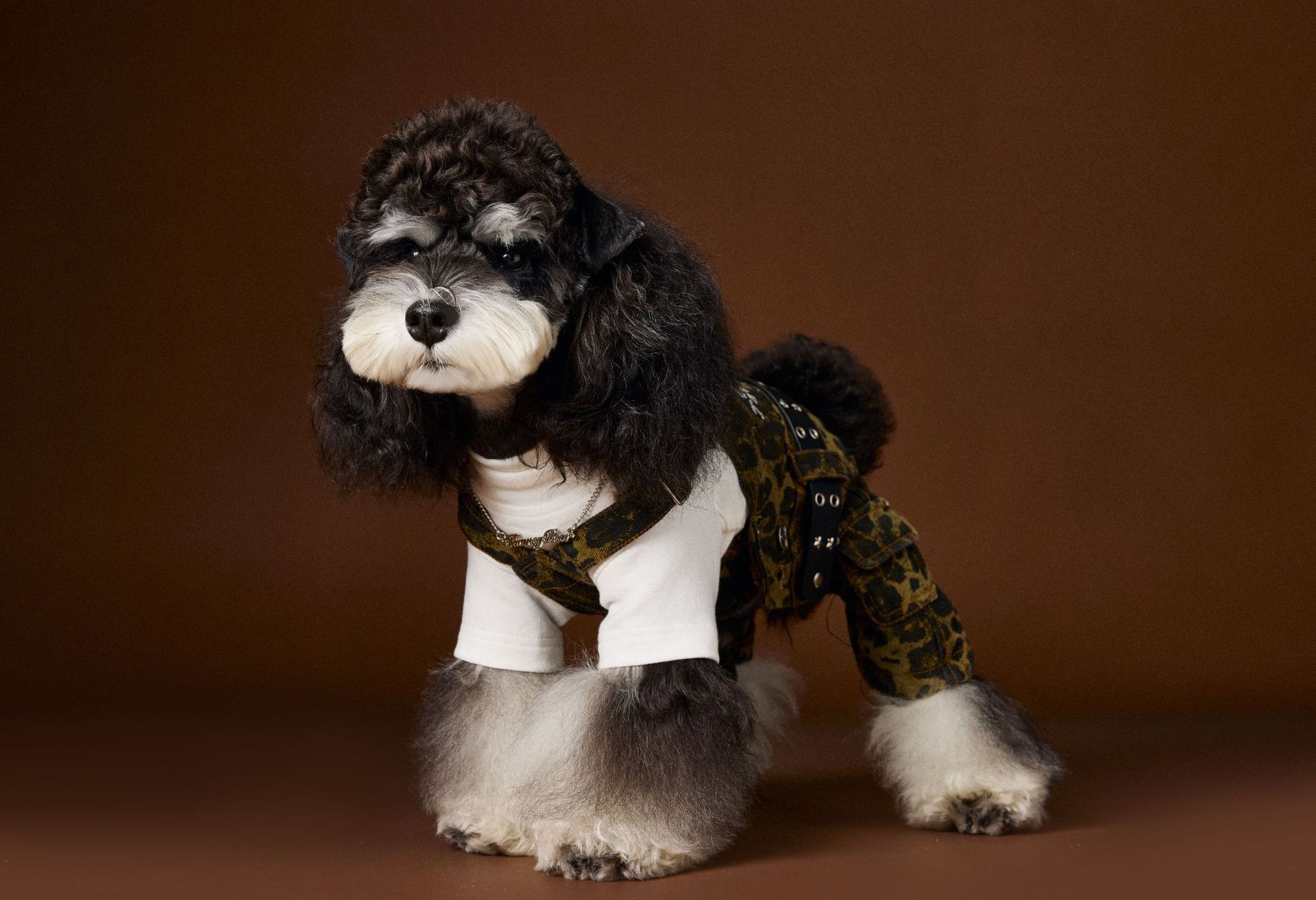 HKM-2418877 Autumn Leopard Print Cotton Overalls for Dogs in Various Sizes