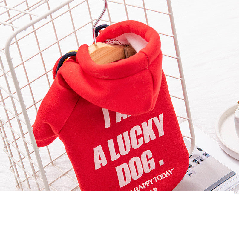 HKM-2419389 Trendy Polyester Sweater for Cats and Dogs - Cozy and Stylish Pet Apparel