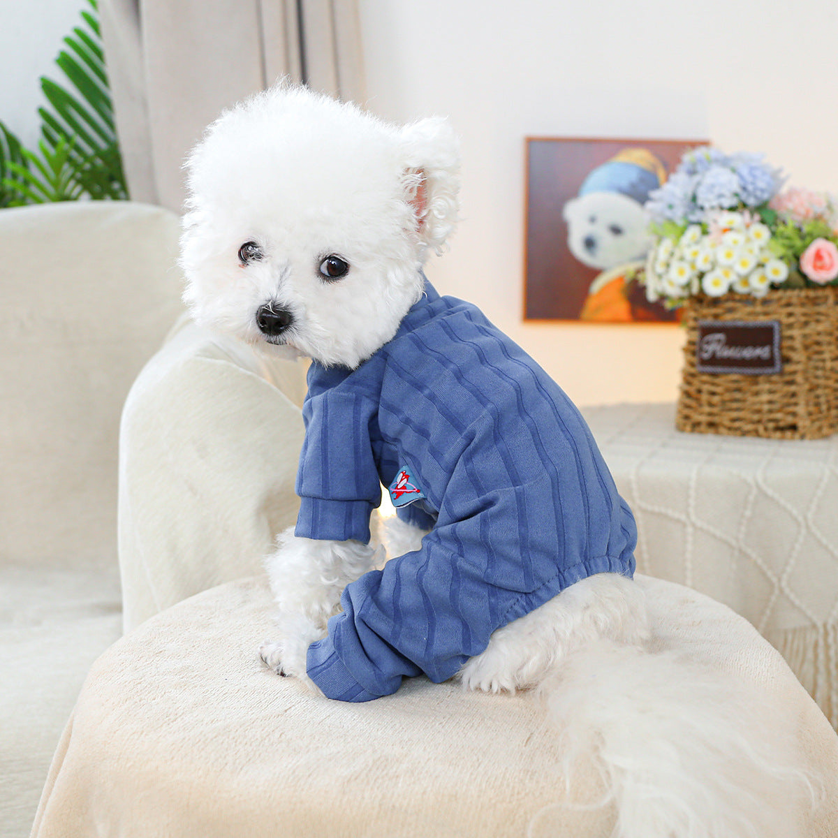 HKM-2419901 Belly-Wrap Four-Legged Outfit in Various Colors and Patterns for Pets