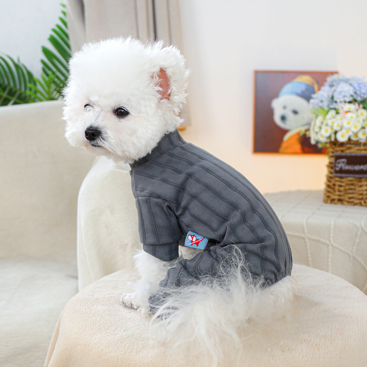 HKM-2419901 Belly-Wrap Four-Legged Outfit in Various Colors and Patterns for Pets
