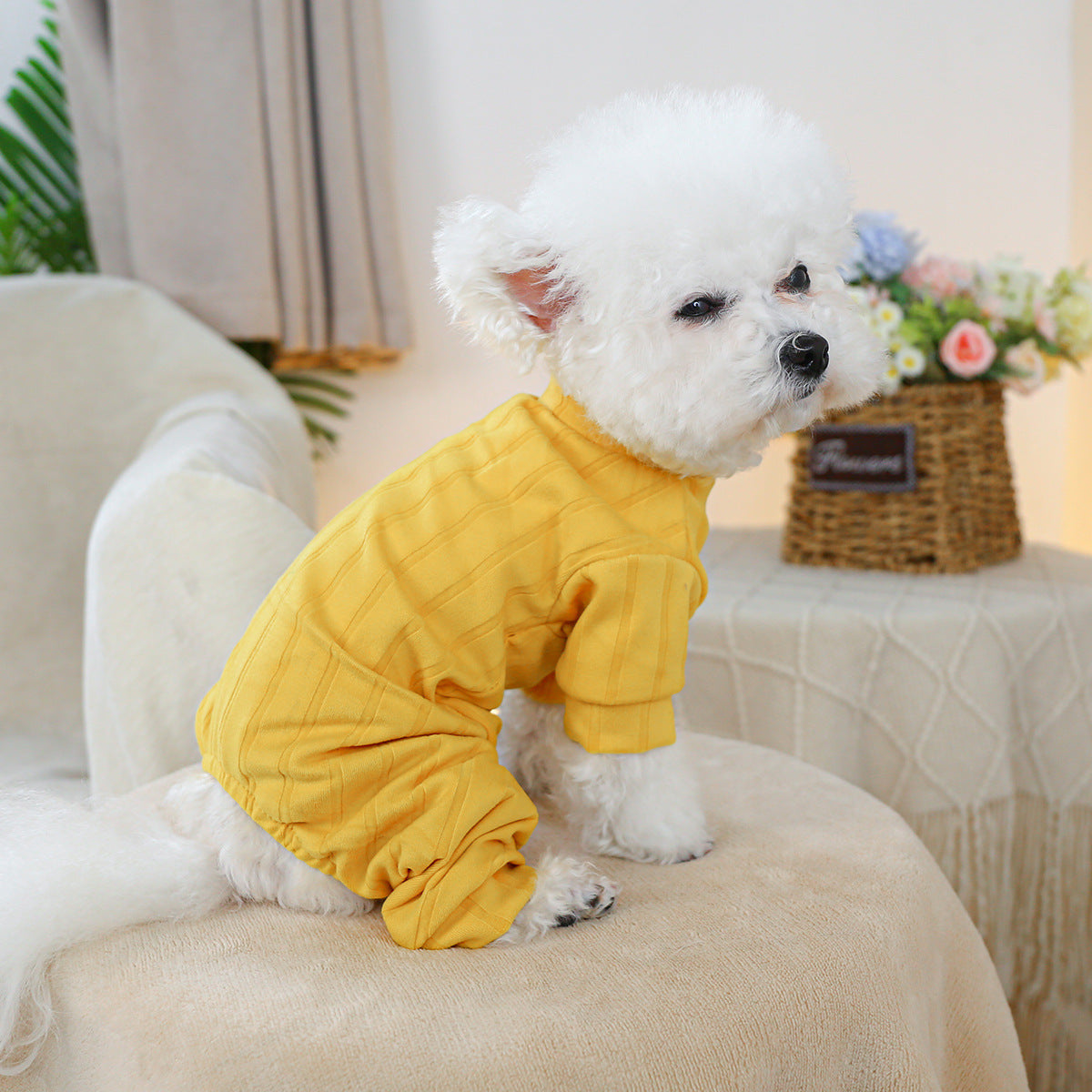 HKM-2419901 Belly-Wrap Four-Legged Outfit in Various Colors and Patterns for Pets