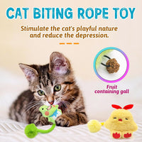 HKM-2421565 Interactive Cat Teething Toys with Silvervine Fruit and Plush Spring Fuzzy Ball for Indoor Kittens