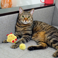 HKM-2421565 Interactive Cat Teething Toys with Silvervine Fruit and Plush Spring Fuzzy Ball for Indoor Kittens