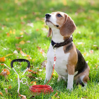 HKM-2423869 Double Hook Wire Rope Dog Leash in Various Colors and Durable Materials
