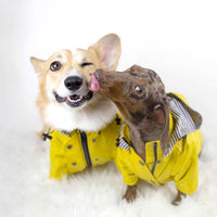 HKM-2427453 Windproof and Rainproof Pet Jacket in Yellow, Casual Style, Made of Polyester and Cotton