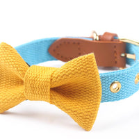 HKM-2427837 Canvas Rope Collar with Leather Stitching in Various Colors and Sizes
