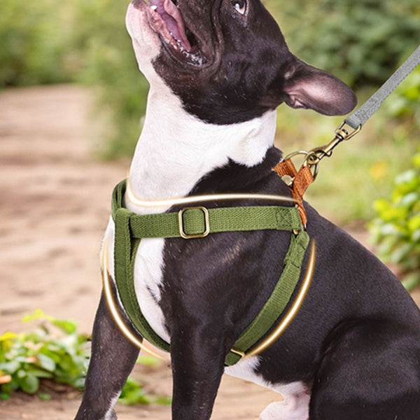 HKM-2429117 Small and Medium Dog Chest Strap for Teddy and Corgi Breeds, Adjustable ABS Material