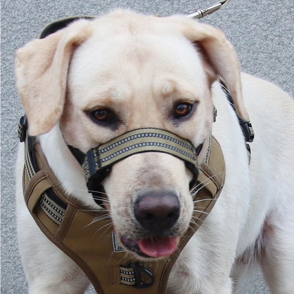 HKM-2438845 Reflective Adjustable Muzzle for Medium to Large Dogs - Ideal for Siberian Huskies and Golden Retrievers