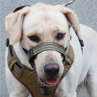 HKM-2438845 Reflective Adjustable Muzzle for Medium to Large Dogs - Ideal for Siberian Huskies and Golden Retrievers