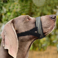 HKM-2438845 Reflective Adjustable Muzzle for Medium to Large Dogs - Ideal for Siberian Huskies and Golden Retrievers