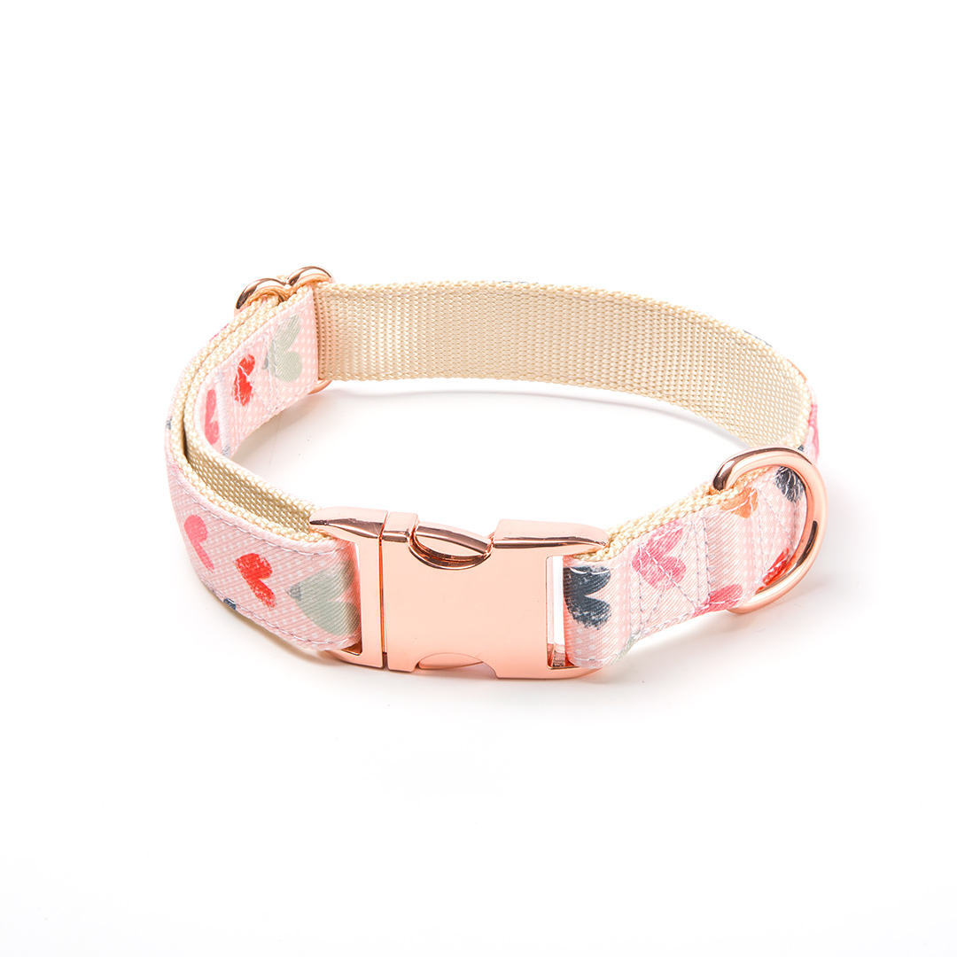 HKM-2443325 Valentine's Day Themed Dog Walking Suit with Collar, Bow, and Leash - Various Styles Available