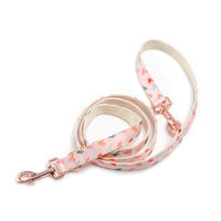 HKM-2443325 Valentine's Day Themed Dog Walking Suit with Collar, Bow, and Leash - Various Styles Available