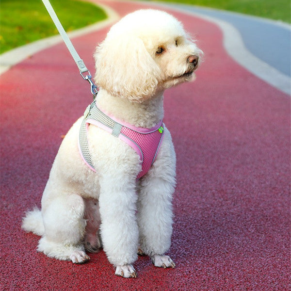 HKM-2446397 Reflective Breathable Pet Dog Vest Harness in Yellow, Pink, Green - Adjustable Leash Included