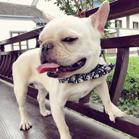 HKM-2449085 Customizable Removable Pet Bow Tie Collar for Dogs in Multiple Colors