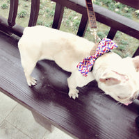 HKM-2449085 Customizable Removable Pet Bow Tie Collar for Dogs in Multiple Colors