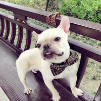 HKM-2449085 Customizable Removable Pet Bow Tie Collar for Dogs in Multiple Colors
