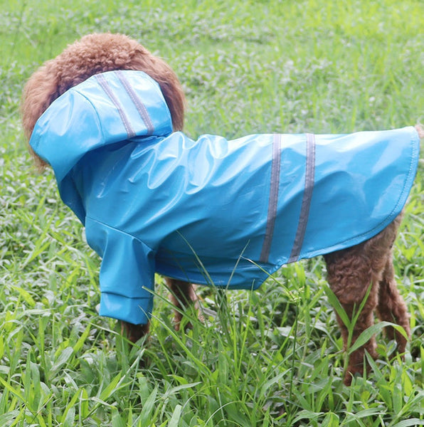 HKM-2449469 Durable Casual Dog Raincoat for Small Breeds ¨C Available in Multiple Colors and Sizes