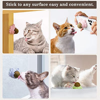 HKM-2454333 Wall-Mounted Catnip Balls for Cats - Natural Dental Chew Toys with Healthy Benefits