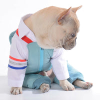 HKM-2459197 Teddy Dog Cotton Strap Pants in Bean Green, Grey, and Blue for All Sizes