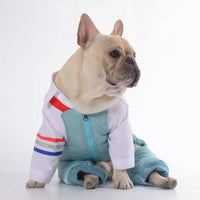 HKM-2459197 Teddy Dog Cotton Strap Pants in Bean Green, Grey, and Blue for All Sizes
