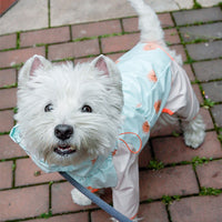 HKM-2460221 Waterproof Reflective Pet Raincoat for Dogs – Windproof with Full Package in Pink and Blue
