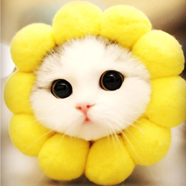 HKM-2465981 Cute Cat Headgear with Ear Holes – Warm Soft Decorative Hat for Kittens and Adult Cats