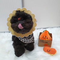 HKM-2468029 Orange Plush Dog Sounding Toy - Sniffing and Play for Dogs
