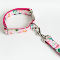 HKM-2468157 Flower Pattern Dog Collar and Leash Set with Comfortable Cotton Webbing