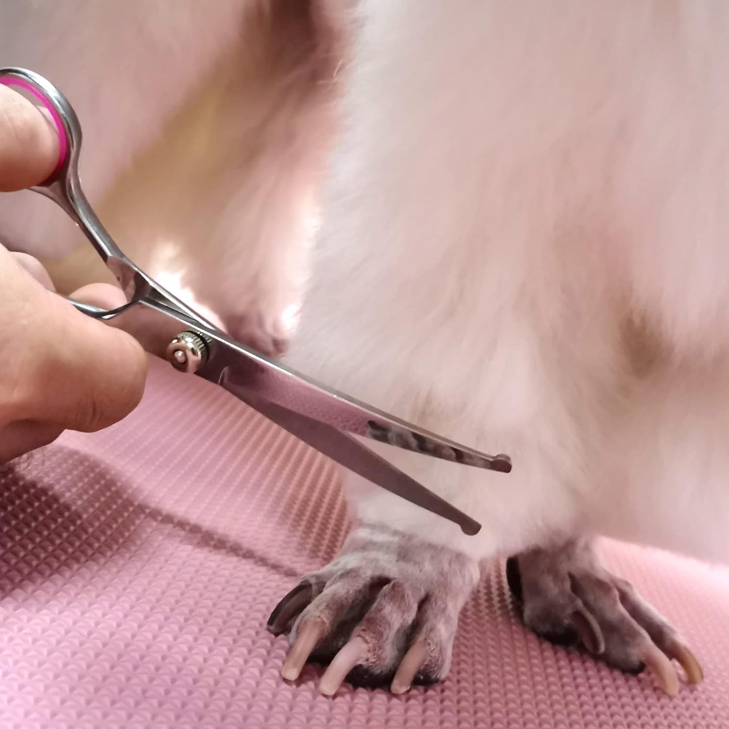 HKM-2471613 Professional Pet Grooming Scissors Set with Safety Round Tips - Stainless Steel Thinning and Curved Shears, Comb Included