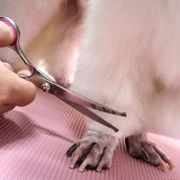 HKM-2471613 Professional Pet Grooming Scissors Set with Safety Round Tips - Stainless Steel Thinning and Curved Shears, Comb Included