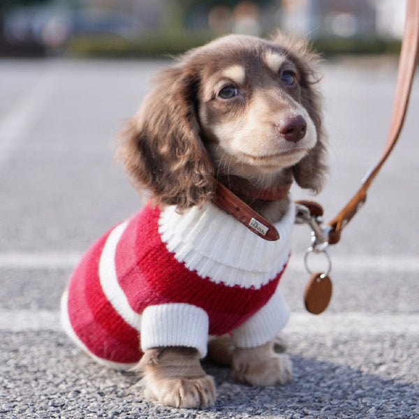 HKM-2472125 Cozy Red and White Striped Sweater for Small Dogs and Cats