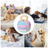HKM-2481341 Interactive Squeaky Plush Ball Toy for Dogs - Treat Dispenser and Chew Toy, Teeth Cleaning & Engagement