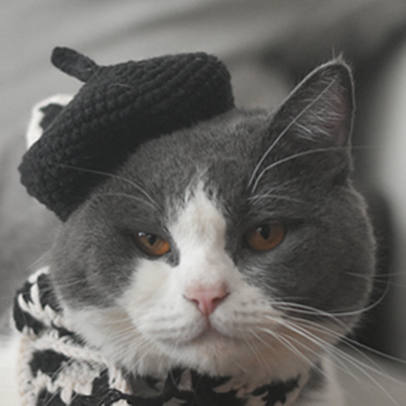 HKM-2484669 Fashionable Pet Beret and Scarf Set with Clear Glasses for Cats and Small Dogs