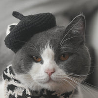 HKM-2484669 Fashionable Pet Beret and Scarf Set with Clear Glasses for Cats and Small Dogs
