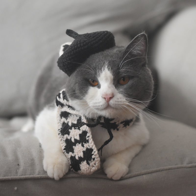 HKM-2484669 Fashionable Pet Beret and Scarf Set with Clear Glasses for Cats and Small Dogs