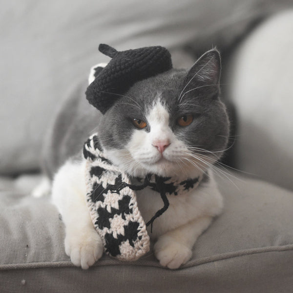 HKM-2484669 Fashionable Pet Beret and Scarf Set with Clear Glasses for Cats and Small Dogs